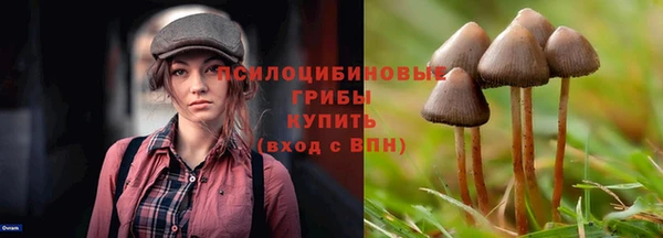 прущие крисы Алзамай