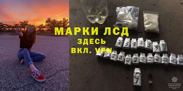 индика Алексин