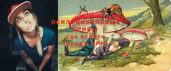 амф Абинск